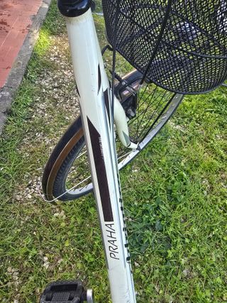 Bici Donna Adriatica Praha Shimano 6 Marce