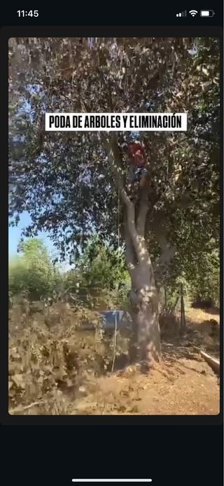 Mantenimiento de parcelas