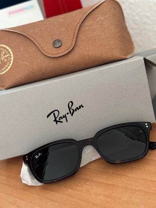 Gafas de Sol Ray-Ban Negras y Marrones