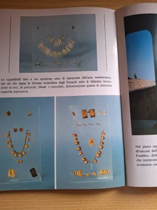 Libro Tarquinia Etrusca e Medioevale Valerioti