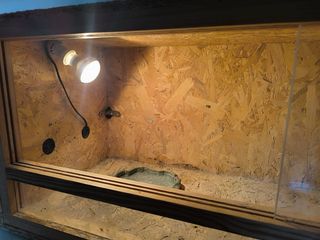 Terrario para reptil con ventanas