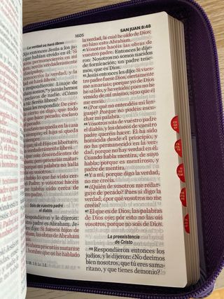BIBLIA LETRA GRANDE REINA VALERA 1960 IMITACION...