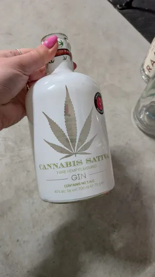 Bottiglia Gin Vuote Particolari per lavori creativ