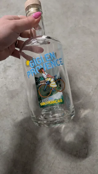 Bottiglia Gin Vuote Particolari per lavori creativ