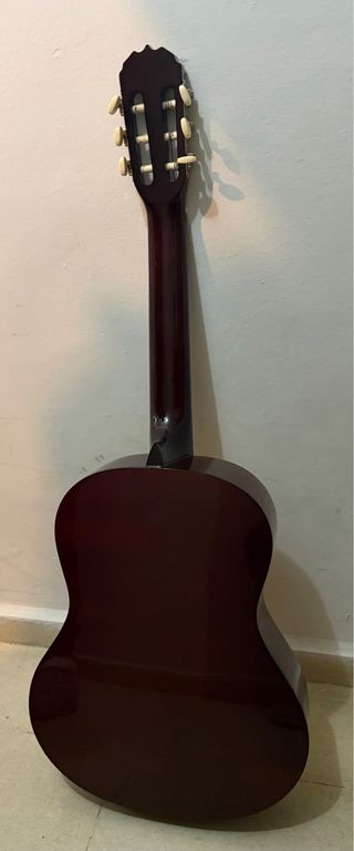 Guitarra y funda