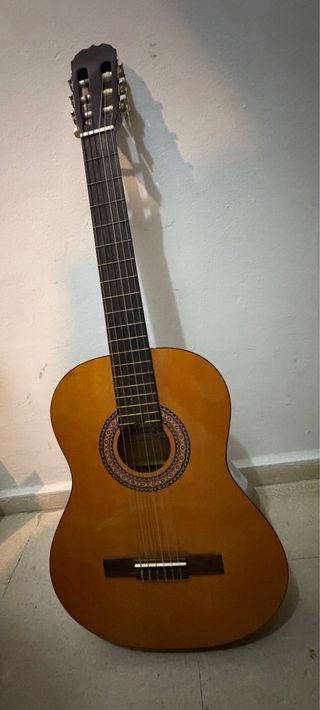 Guitarra y funda