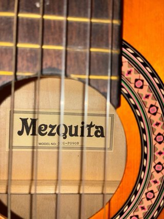 Guitarra y funda