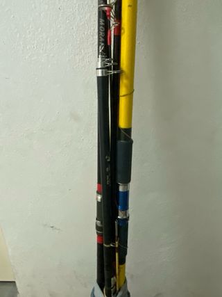 2 Cañas de Pescar