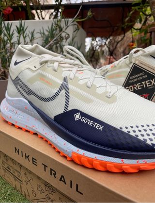 Nike Pegasus Trail 4 GTX 42,5 43 44 44,5 45 46