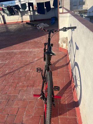 Bicicleta