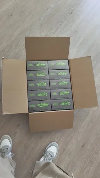 ETB Pokémon Equilibrio Perfecto