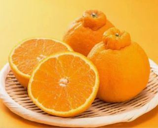 Dekopon (Sumo Citrus)