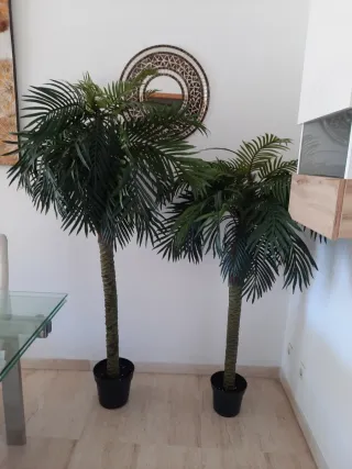 2 Palmeras Artificiales Decorativas