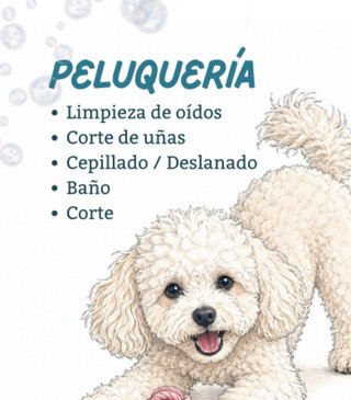 Peluquería canina y felina Ig: @paulaspethome