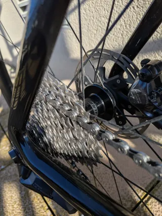 Giant Propel bici carretera
