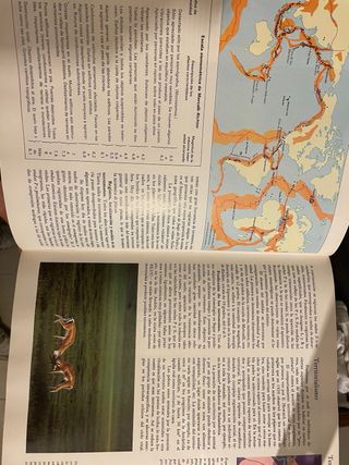 Enciclopedia Salvar Junior