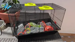 Jaula grande para hámster