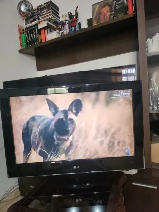 TV LG 32