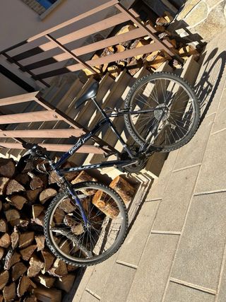 Bicicleta de Montaña