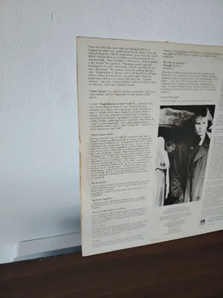 Vinilo Sting Nothing Like The Sun