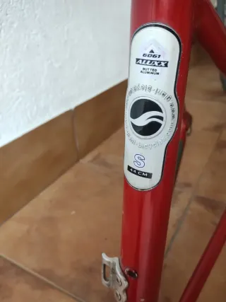 Cuadro Bicicleta Carretera Giant TCR Roja/Plata