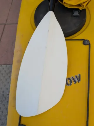 Kayak Oasis Rainbow 430