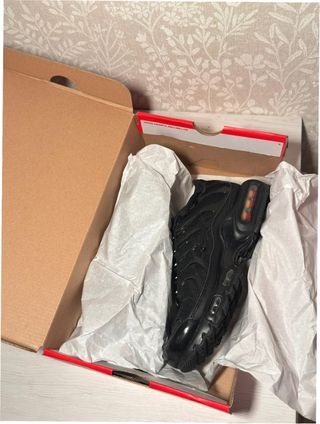 Nike TN Air Max Plus Zapatillas Talla 40