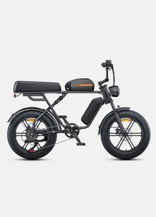 Bici Eléctrica ENGWE M1 Dual Battery
