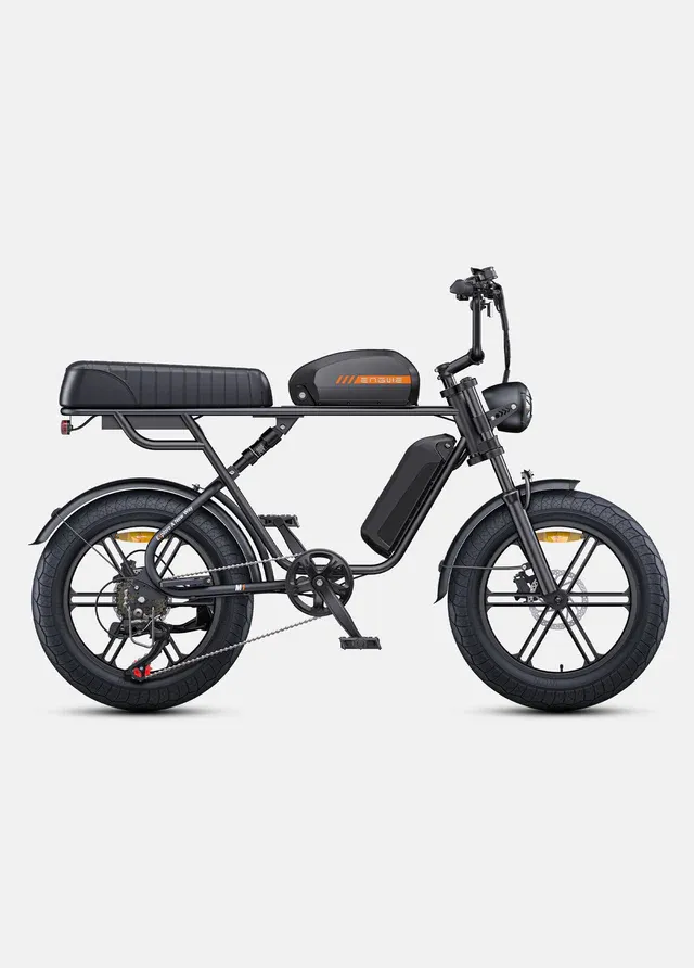 Bici Eléctrica ENGWE M1 Dual Battery