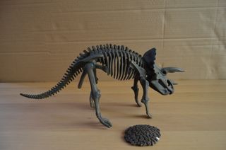 Maqueta de Dinosaurio Triceratops