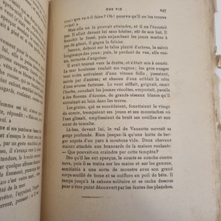 Guy de Maupassant - Une Vie