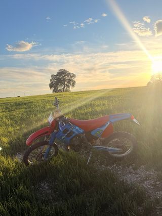 Moto Cross GasGas 250