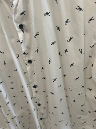 Camisa Zara Man Escorpiones Talla XL