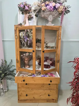 Vitrina madera maciza con malla gallinera