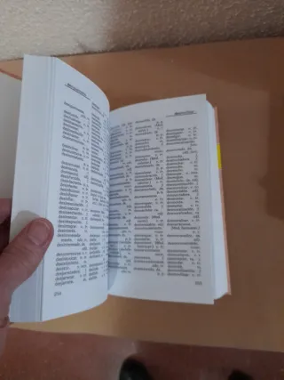 Diccionario