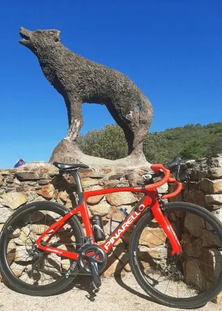 Bicicleta Pinarello F12 con Ruedas DT SWISS