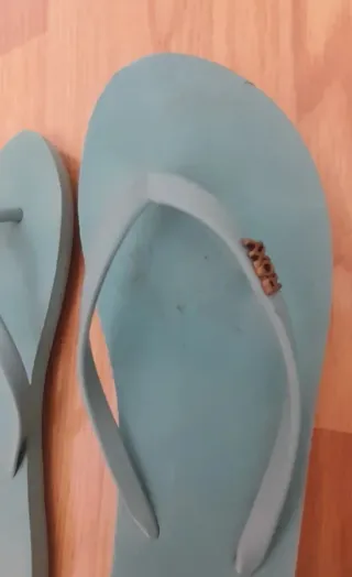 Lote de calzado, 36/37