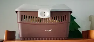 Rascador para gatos con túnel y casa