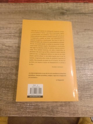 La danza de la realidad (Spanish Edition)