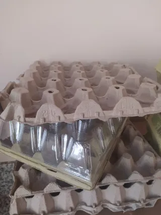 Hueveras de Cartón