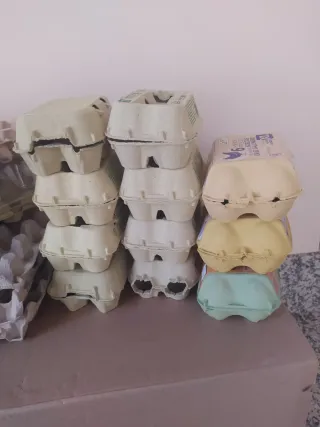 Hueveras de Cartón