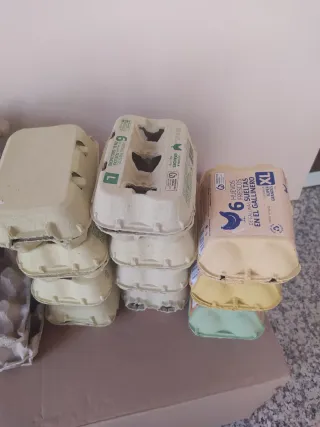 Hueveras de Cartón
