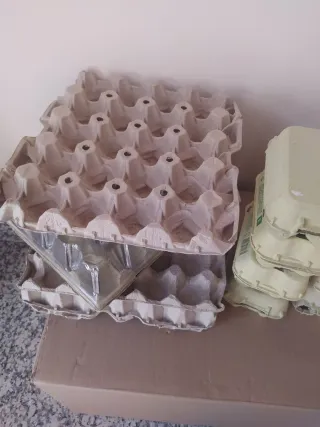Hueveras de Cartón
