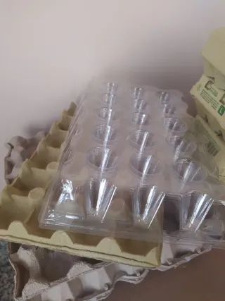 Hueveras de Cartón