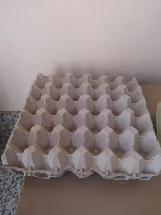 Hueveras de Cartón