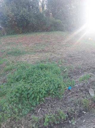 Terreno rústico Betanzos 315m²