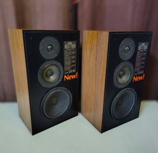 Coppia diffusori ESB CS40