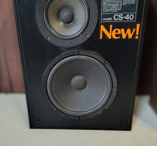 Coppia diffusori ESB CS40