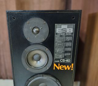 Coppia diffusori ESB CS40