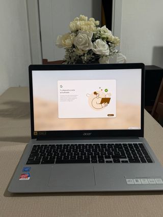 Acer Chromebook 315 Argento CB315-3H-C209
